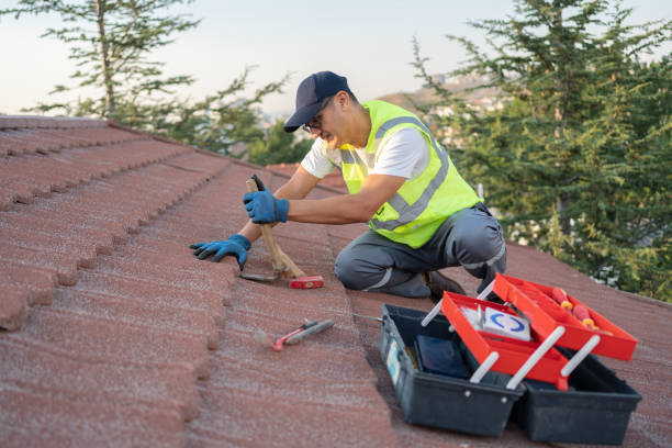 Roof Gutter Cleaning in Rio Grande, NJ